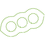Soybean